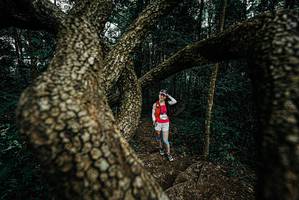 BIB: 
                            <button type="button" onclick="openModal(25700121)" class="btn btn-primary btn-sm float-right btn-popup" data-toggle="modal" data-target=".modal-high-quality">
                        <i class="fas fa-shopping-cart"></i> Add to Cart
                    </button>
                                            <button type="button" onclick="isThisMe(25700121, true)" class="btn btn-success btn-sm float-right btn-popup btn-isme hidden" data-toggle="tooltip" data-placement="bottom" title="นี่คือรูปของคุณใช่ไหม คลิกที่นี่เพื่อเอาเข้าอัลบั้ม">
                        <i class="fas fa-plus"></i> Add to album
                    </button>
                    <button type="button" onclick="isThisMe(25700121, false)" class="btn btn-warning btn-sm float-right btn-popup btn-isnotme hidden">
                        <i class="fas fa-ban"></i> Remove from album
                    </button>